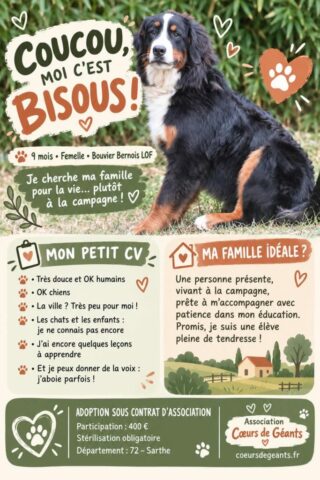 Bisous