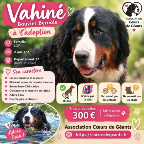 Vahine
