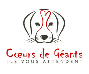 logo_coeurs_geants