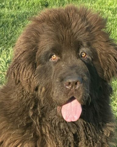 658970871_1284887630442693_1040873302214282805_n